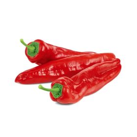 Chilli Long Syria