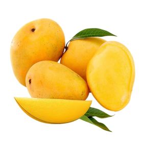 Premium Alphonso Mango