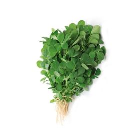 Leto Fenugreek Methi Leaves