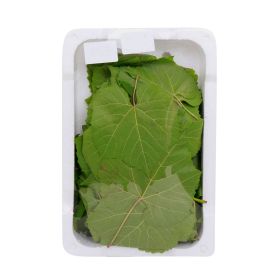 Grape Leaves GCC