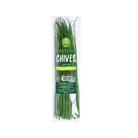 Leto Chives