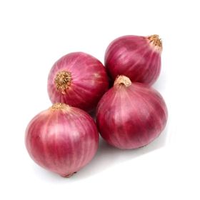 Onion Red GCC