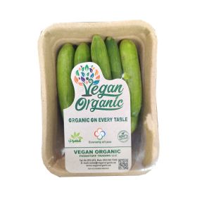 Organic Snack Cucumber