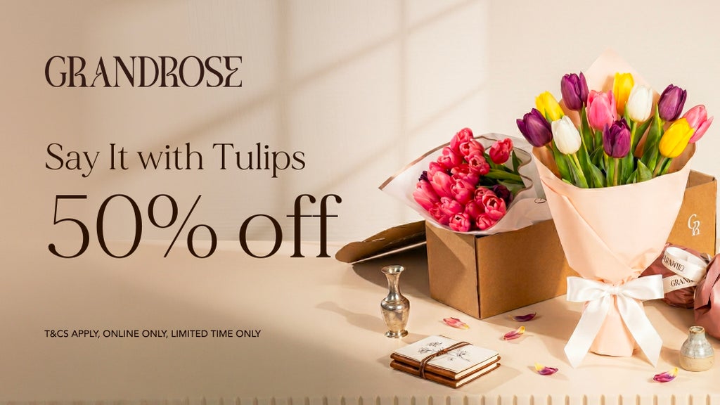 Tulips Promo